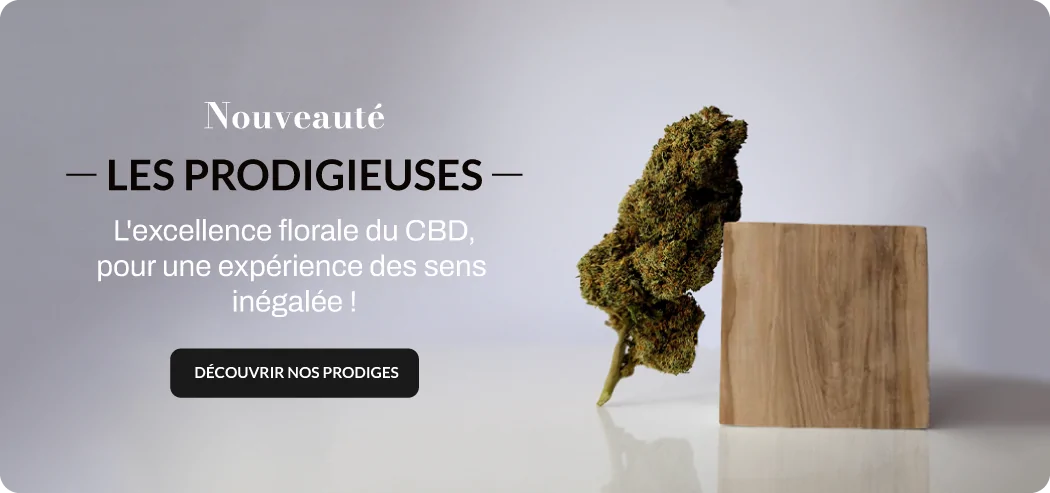 Les prodigieuses